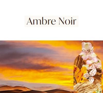 Moroccanoil - Corps - Ambre Noir