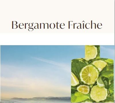 Moroccanoil - Corps - Bergamote Fraîche