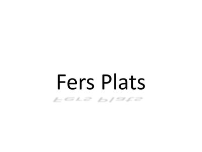 Fers Plats