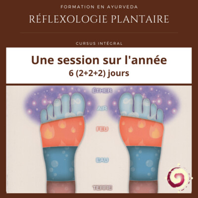 Formation Réflexologie Plantaire Paris (6 jours)