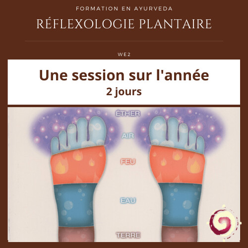 Formation Réflexologie Plantaire WE2 Paris (2 jours)