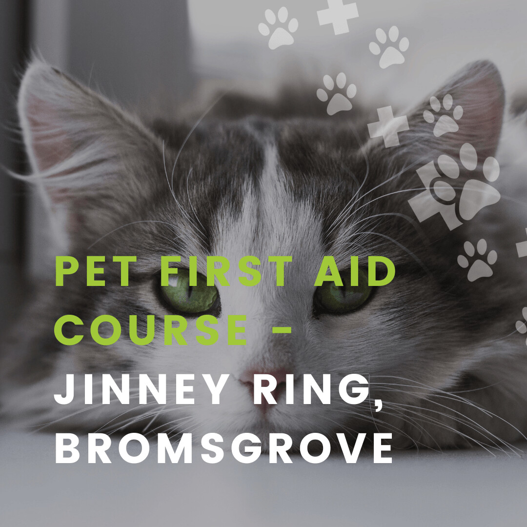 PET FIRST AID COURSE - JINNEY RING, BROMSGROVE | 28TH APRIL 2024