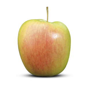 Delbare Estivale 1 kilo