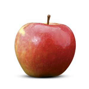 Elstar 1 kilo