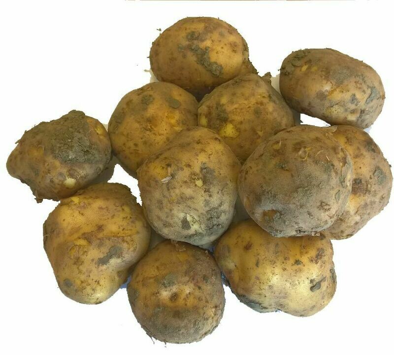 Opperdoes 1 kilo