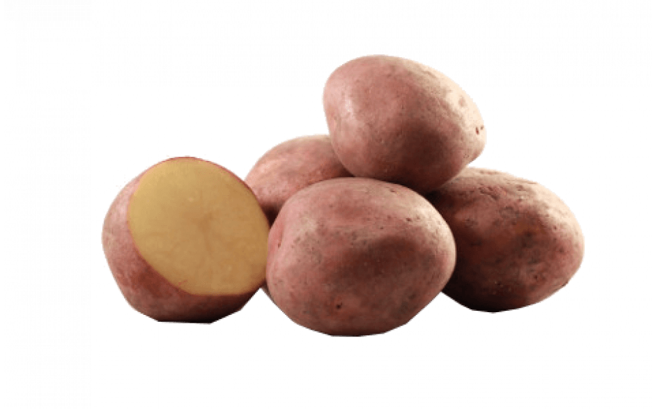 Bildstar 1 kilo