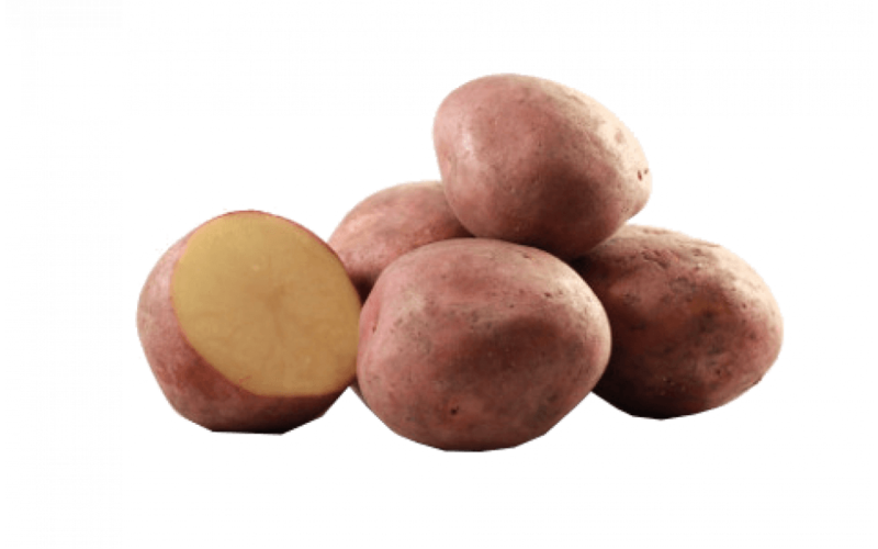 Bildstar 1 kilo