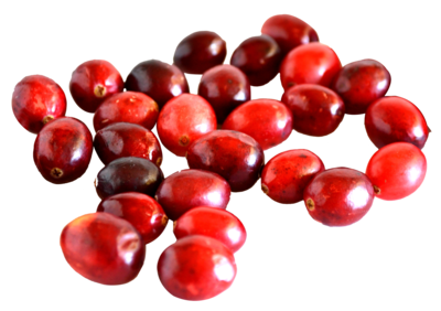 Cranberry per zakje Cranberry per zakje