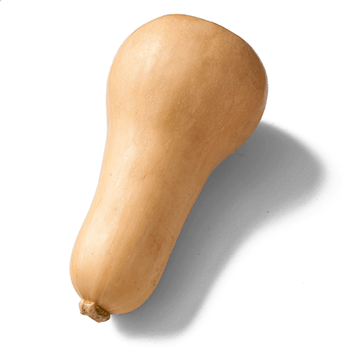 Fles pompoen per stuk