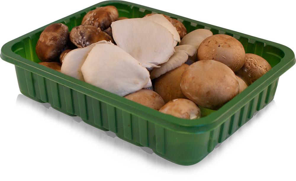 Mix champignons 250 gr.