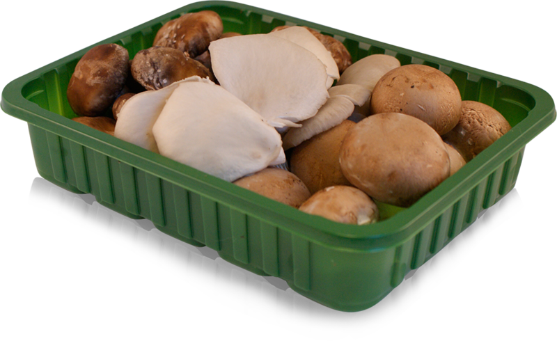 Mix champignons 250 gr.