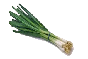 Bosui per bos