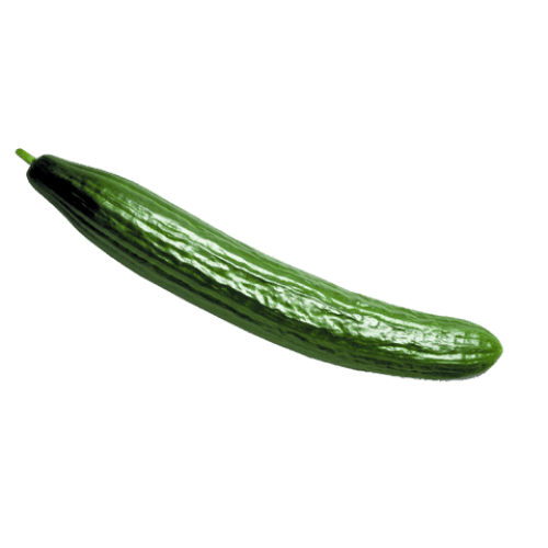 Komkommer per stuk
