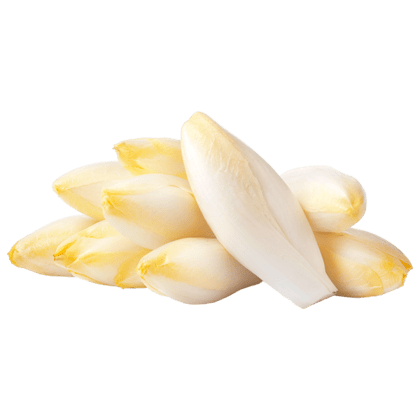 Witlof 500gr.