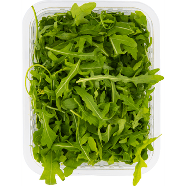 Rucola per bak