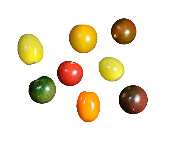 Mix tomaatjes 250gr.