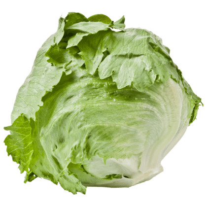 IJsbergsla per krop
