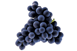 Fruta Fresca Blauwe druiven 500gr.