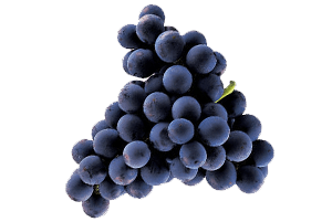 Blauwe druiven 500gr.