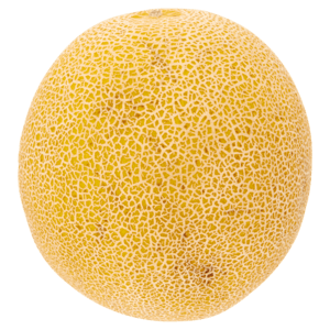 Galia meloen per stuk