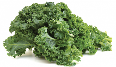 Boerenkool struik 500GR.