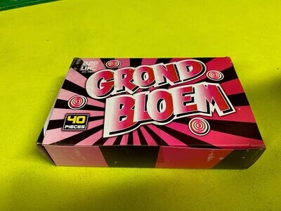 grondbloemen 40st