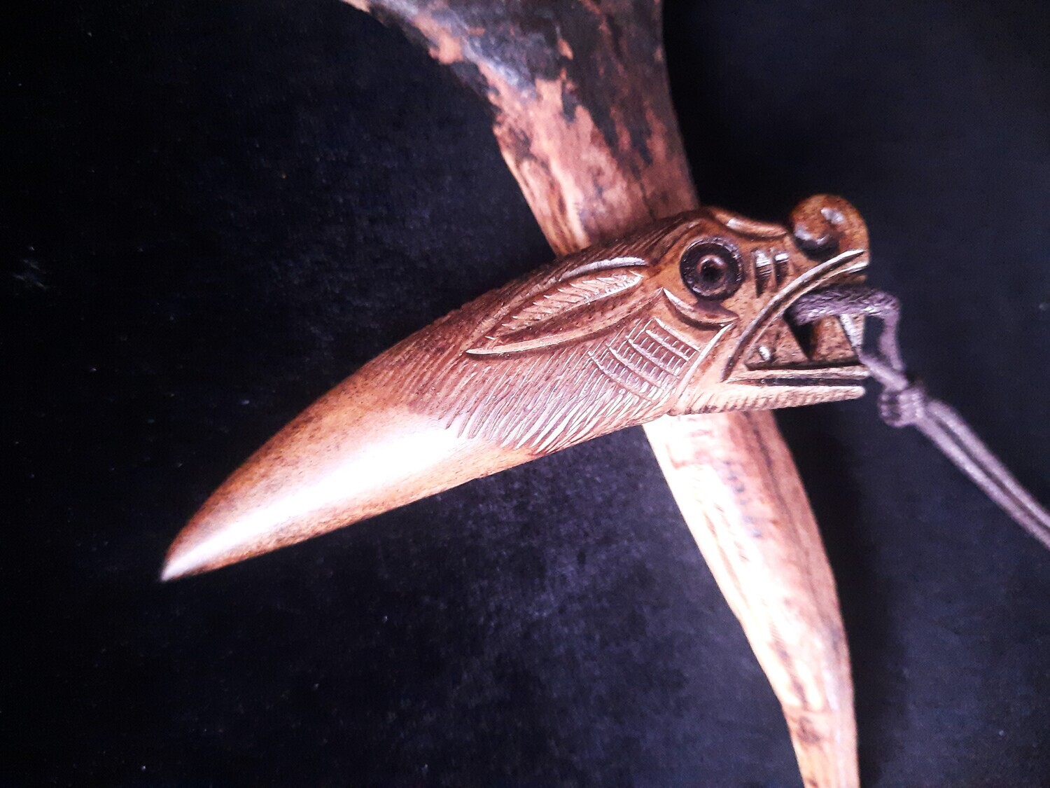 Massive Viking Norse Wolf Fang Amulet with Algiz Rune, Hand-Carved, Moose antlers