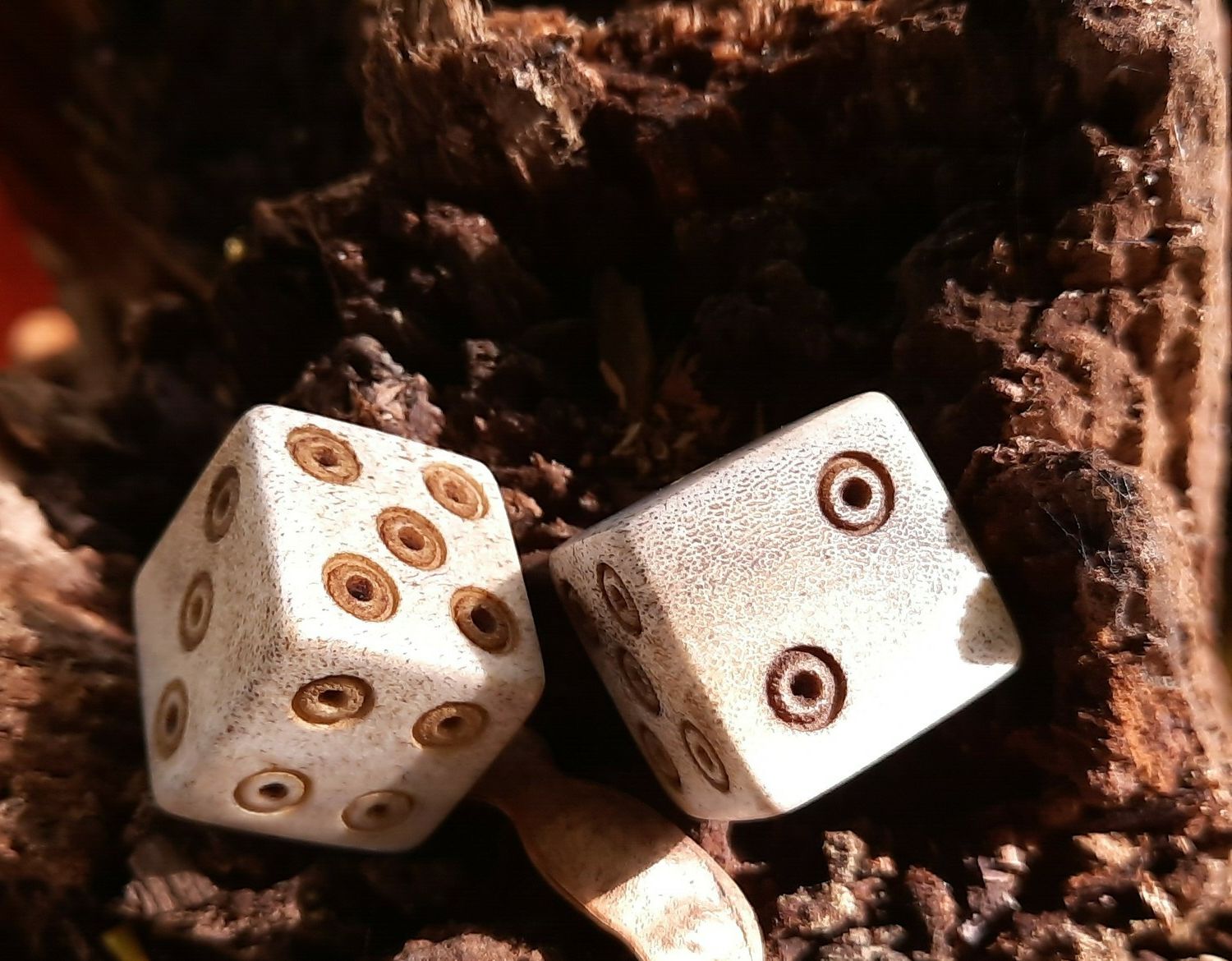 Ancient Roman Hand-Carved Bone Gaming Dice (Moose antler, 2 pcs)