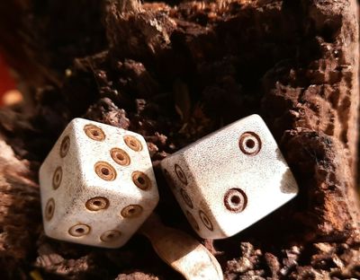 Ancient Roman Hand-Carved Bone Gaming Dice (Moose antler, 2 pcs)