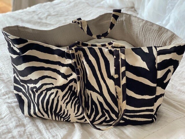 BAGHI - Zebra again