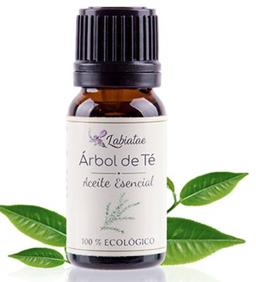 Aceite esencial Árbol de Té