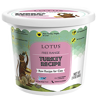 plain yogurt for cats