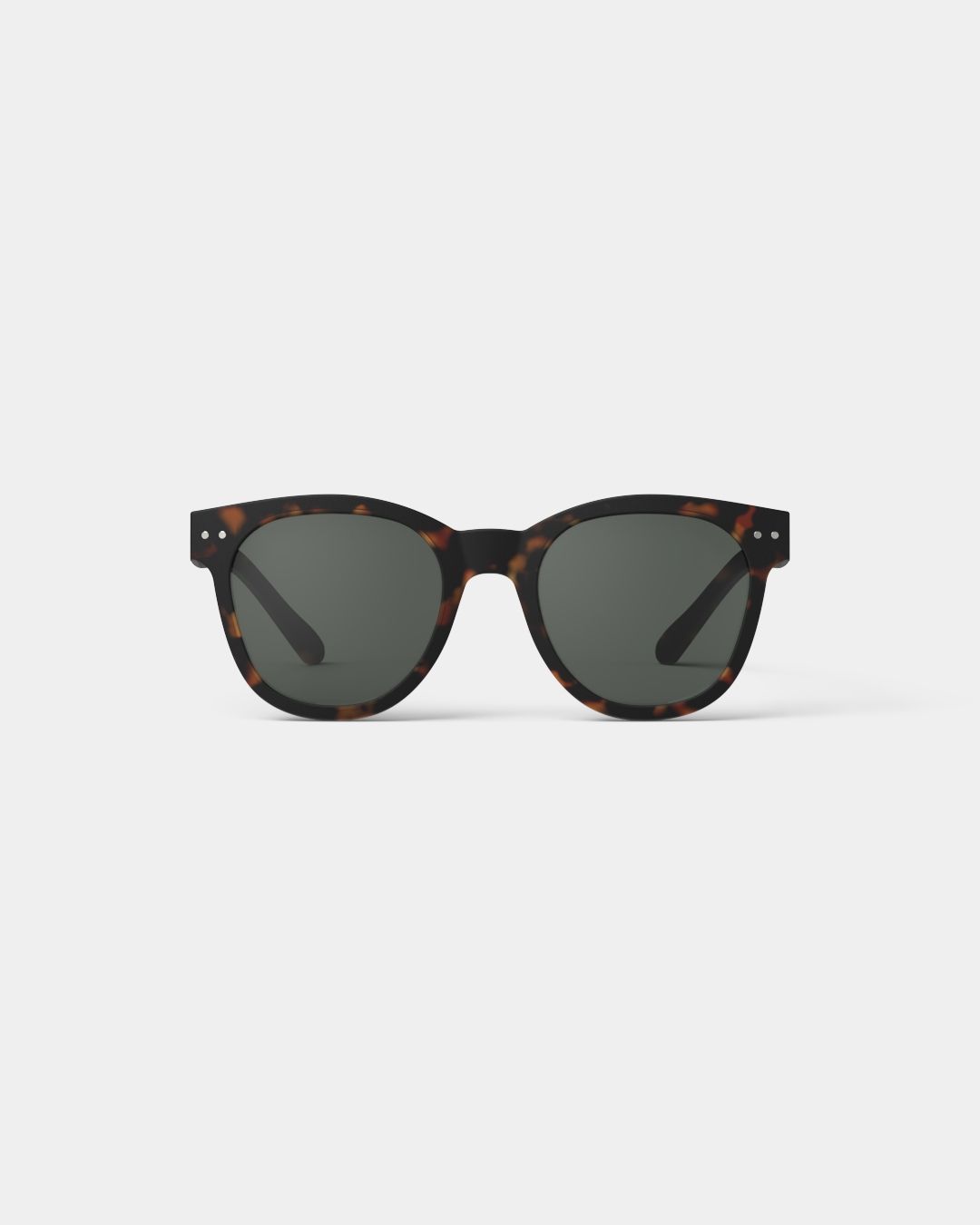 #N Tortoise — Lente sol adulto mid-size tortoise
