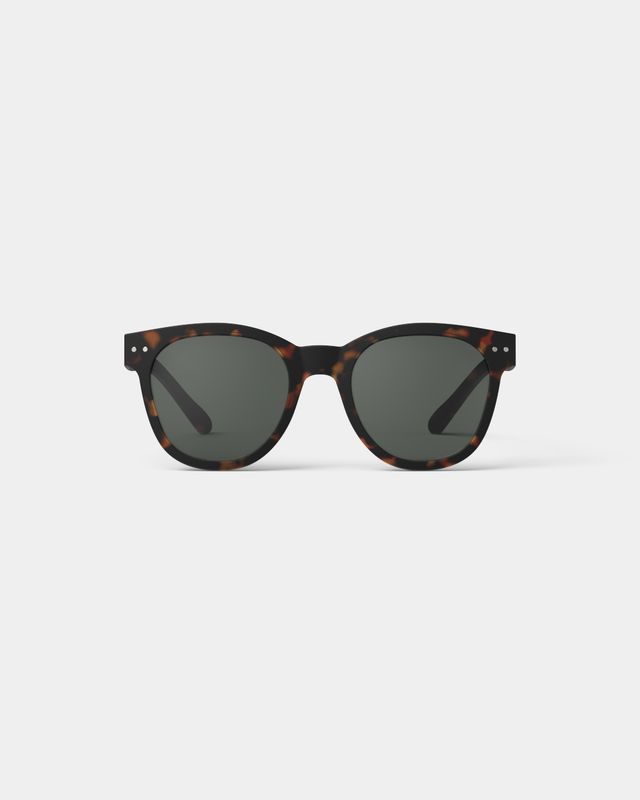#N Tortoise — Lente sol adulto mid-size tortoise