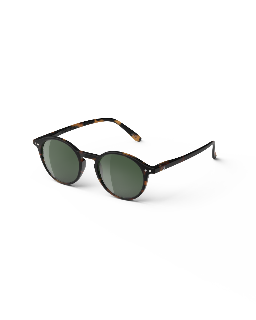#D Tortoise Polarized