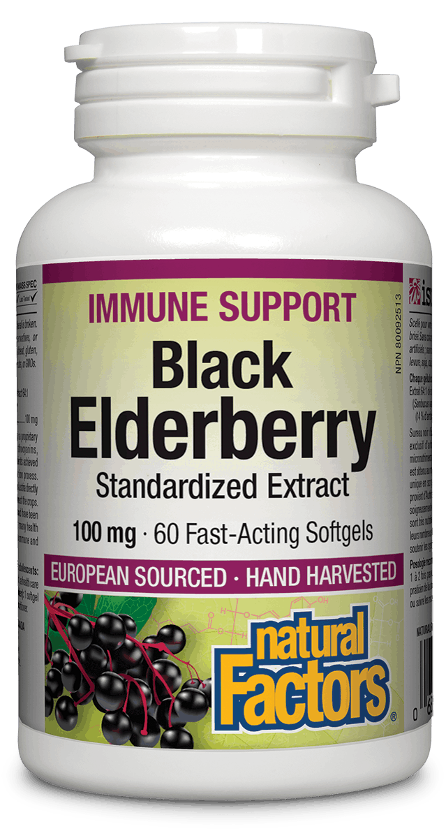 Black Elderberry 100Mg Ext.60 Sg