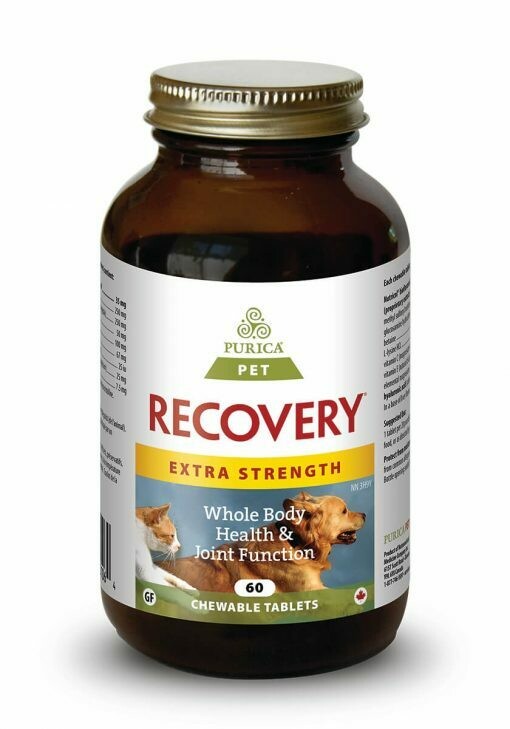 Recovery Extra Forte Small Animal 60 Chews