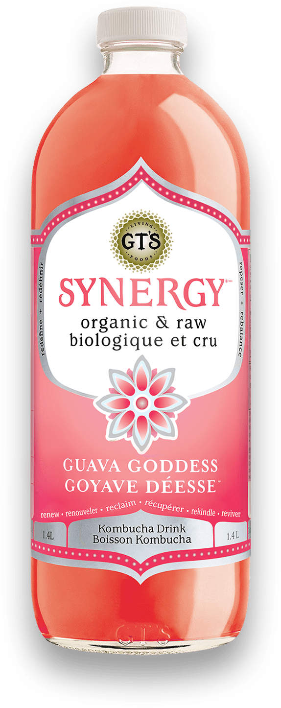 Syngery Guava Goddess Raw Kombucha 1.4ltr