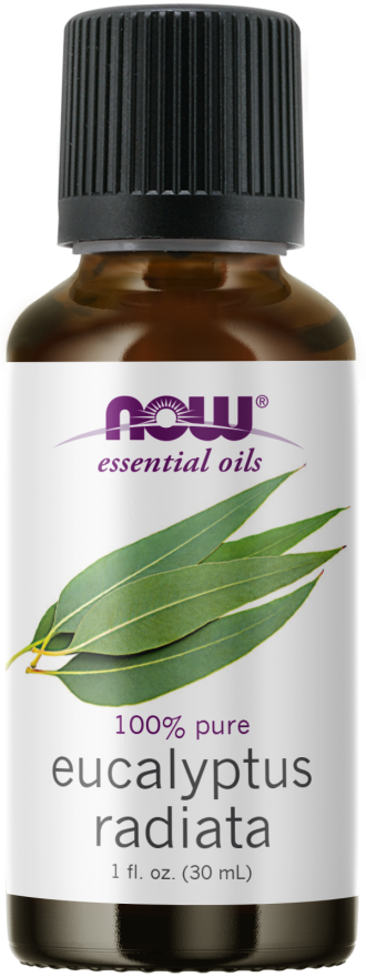 Eucalyptus Radiata 30Ml 100% Pure Essential Oil