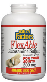Flexable Glucosamine Sulfate 500Mg 500 Caps