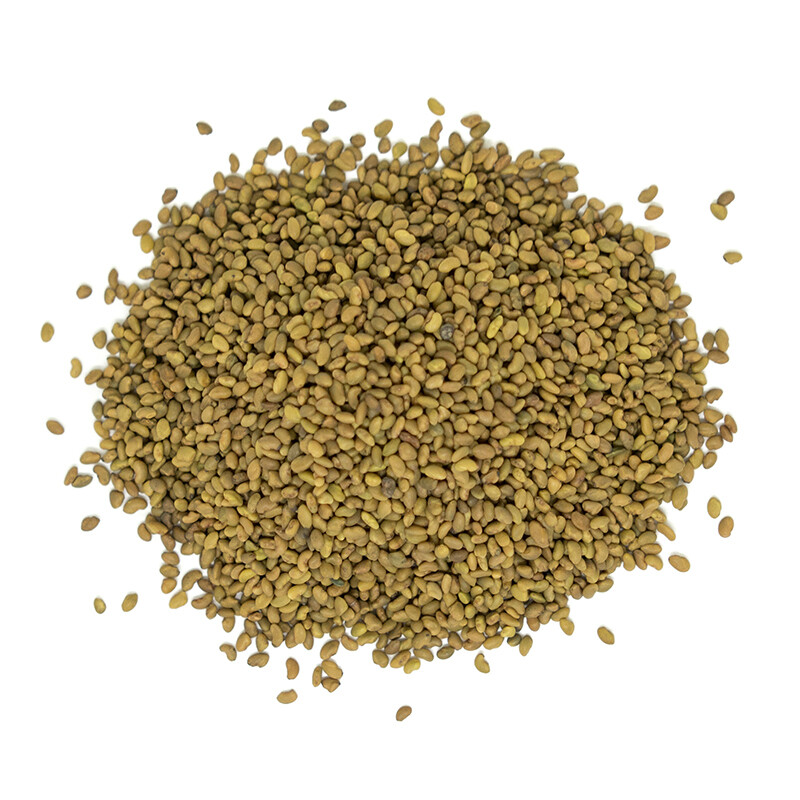 Organic Alfalfa Seeds 100 G
