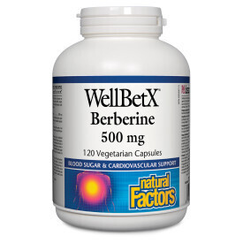 Wellbetx Berberine 500 Mg 120 Cap