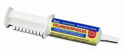 Felinedophilus 20Gm