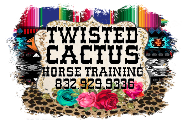 The Twisted Cactus Horse Training