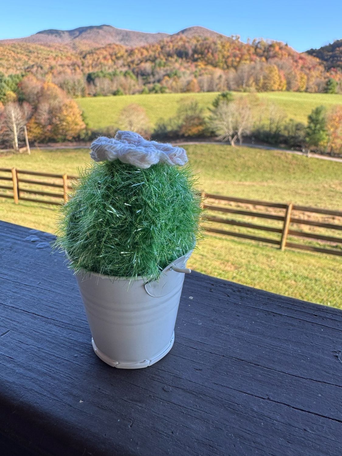 Mini Cactus Scrubbie