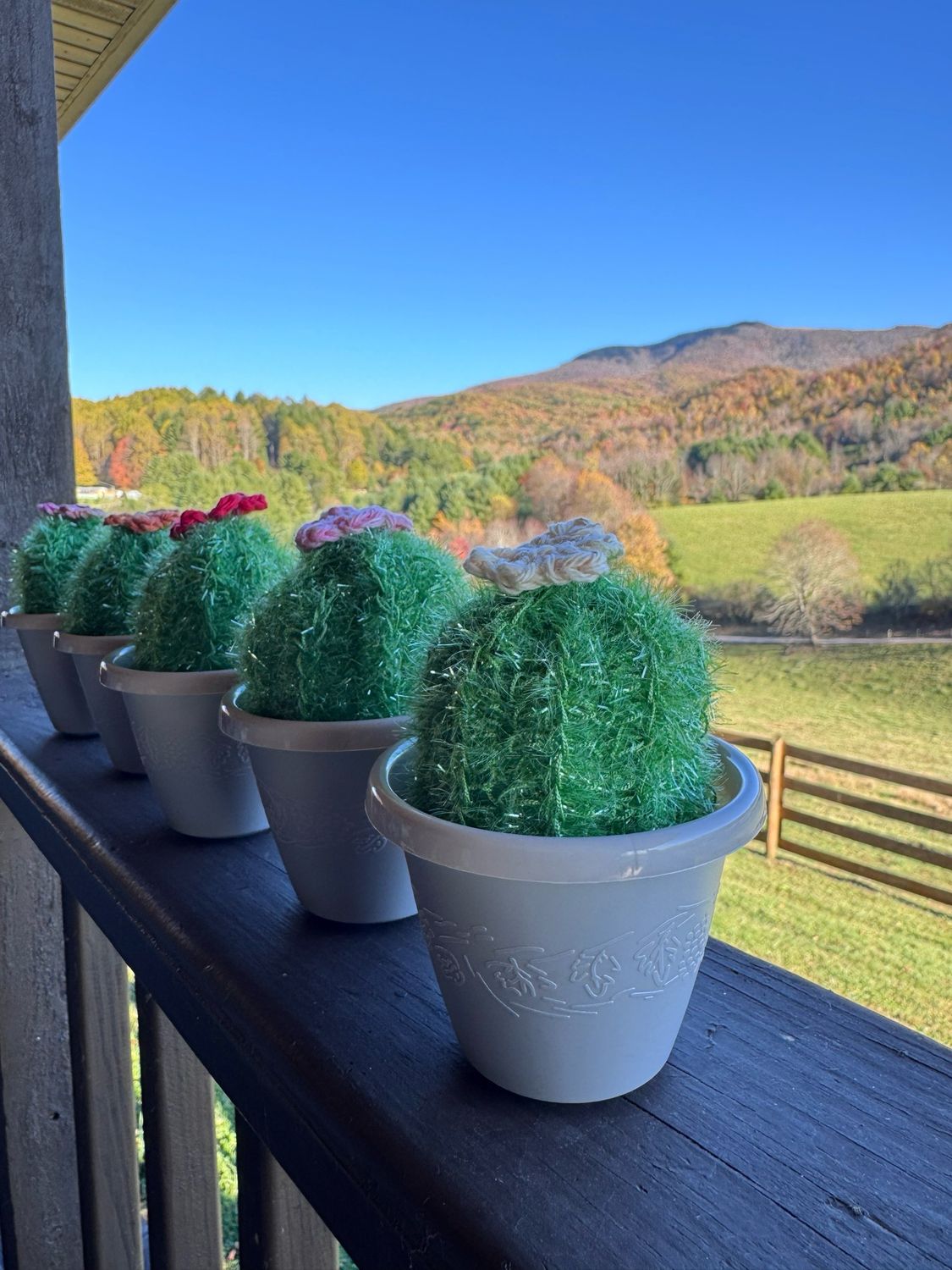 Cactus Dish Scrubbie