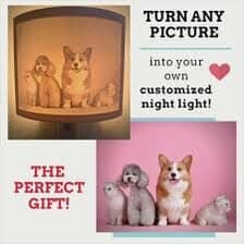 2 custom night lights