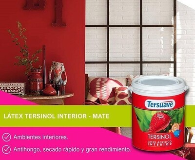 Látex Acrílico Tersinol Interior Anti hongos 4 lts