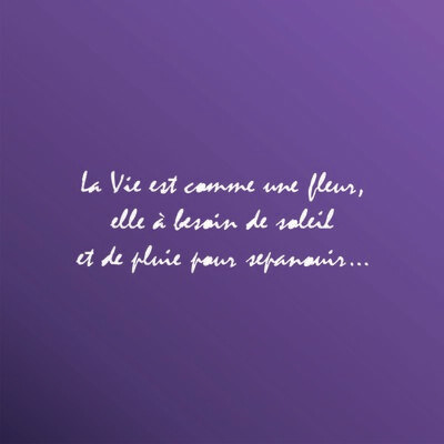 POEMA FRANCÉS 1030060