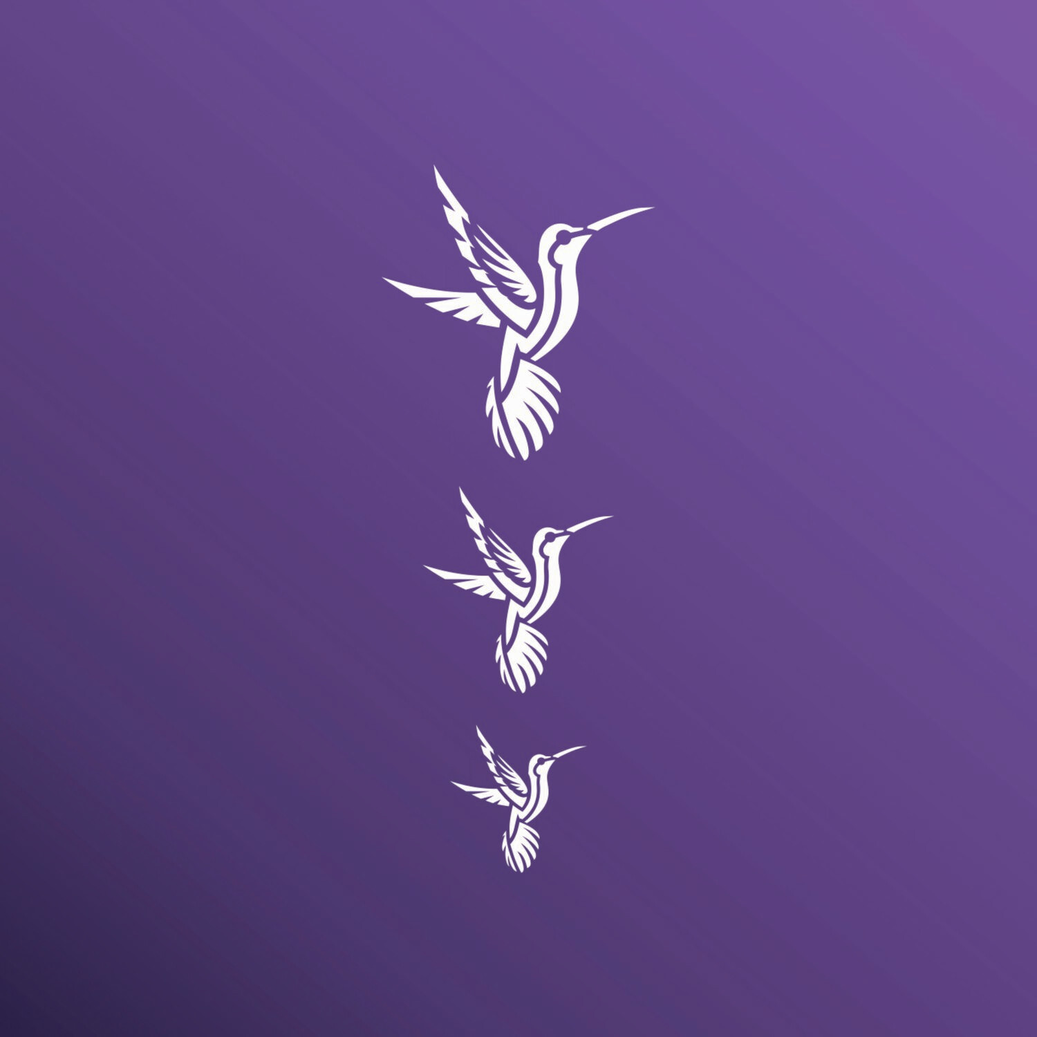 COLIBRI 1030119